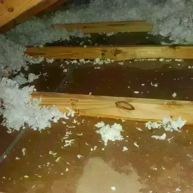 Attic Water Damage in Bellbrook, OH