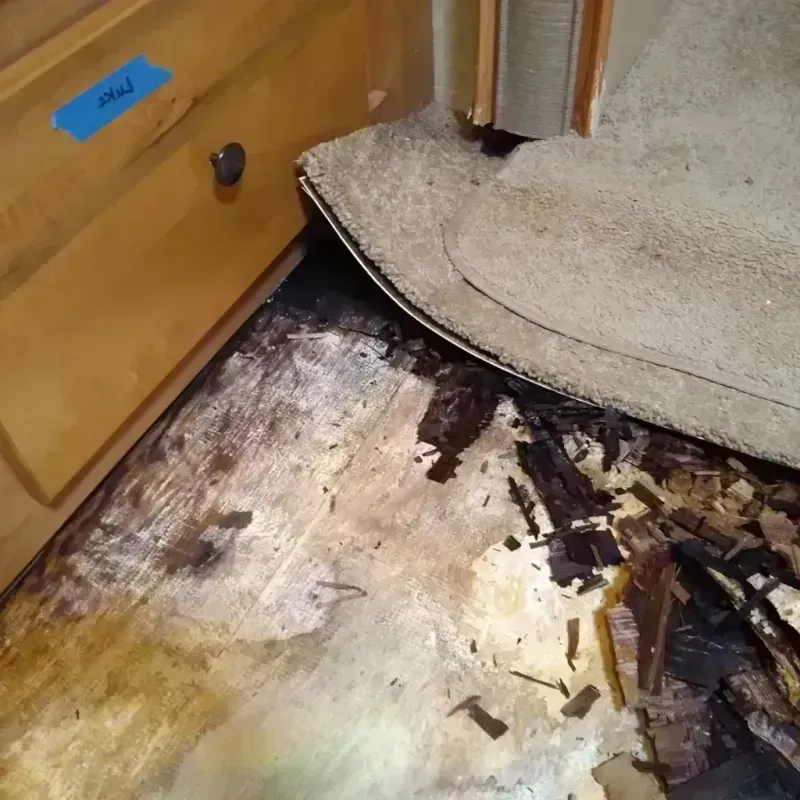 Wood Floor Water Damage in Bellbrook, OH